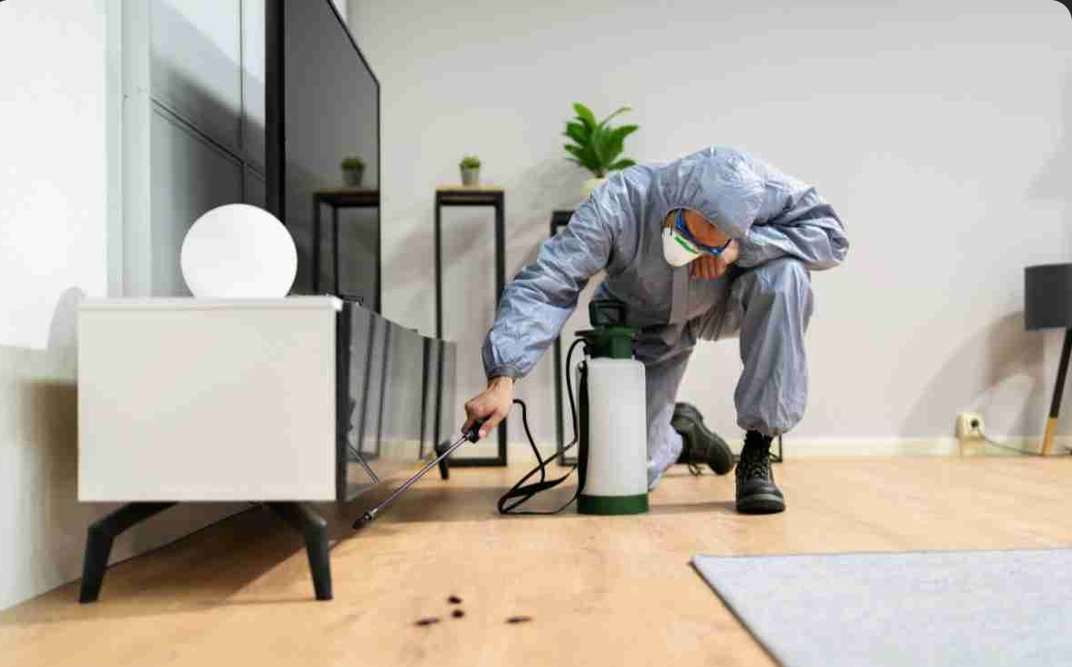 Screenshot 2025-03-27 at 16-36-29 A Complete Guide to Preparing for Pest Control Services Screenshot 2025-03-27 at 16-36-29 A Complete Guide to Preparing for Pest Control Services